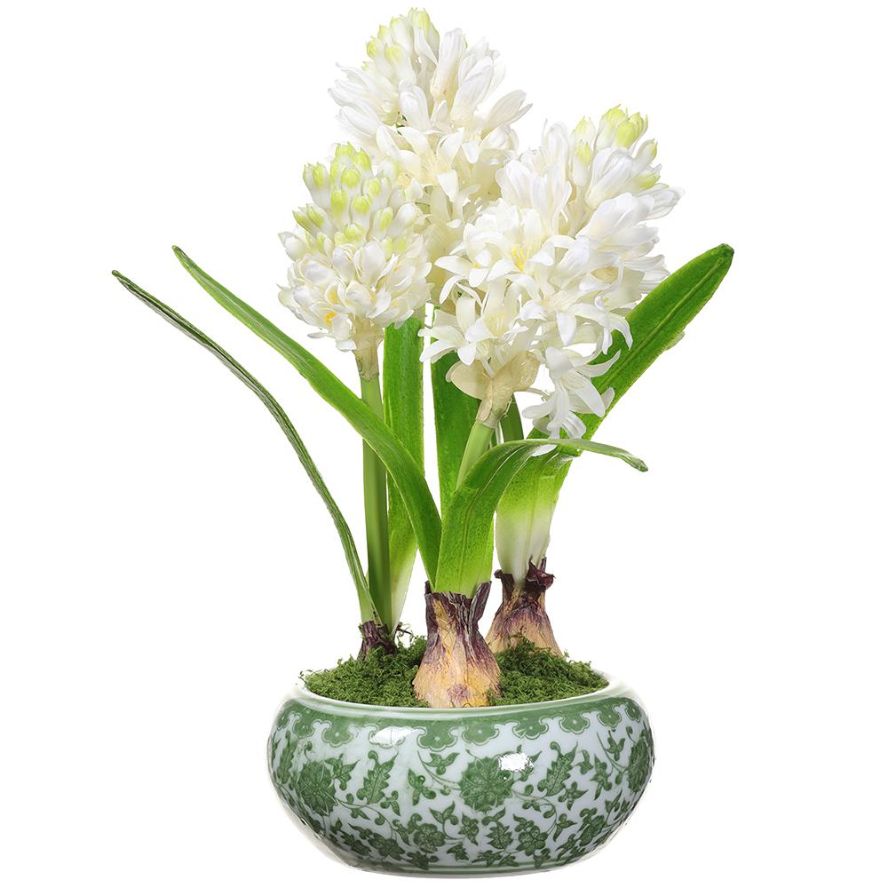 14" Hyacinth with Ceramic Vase