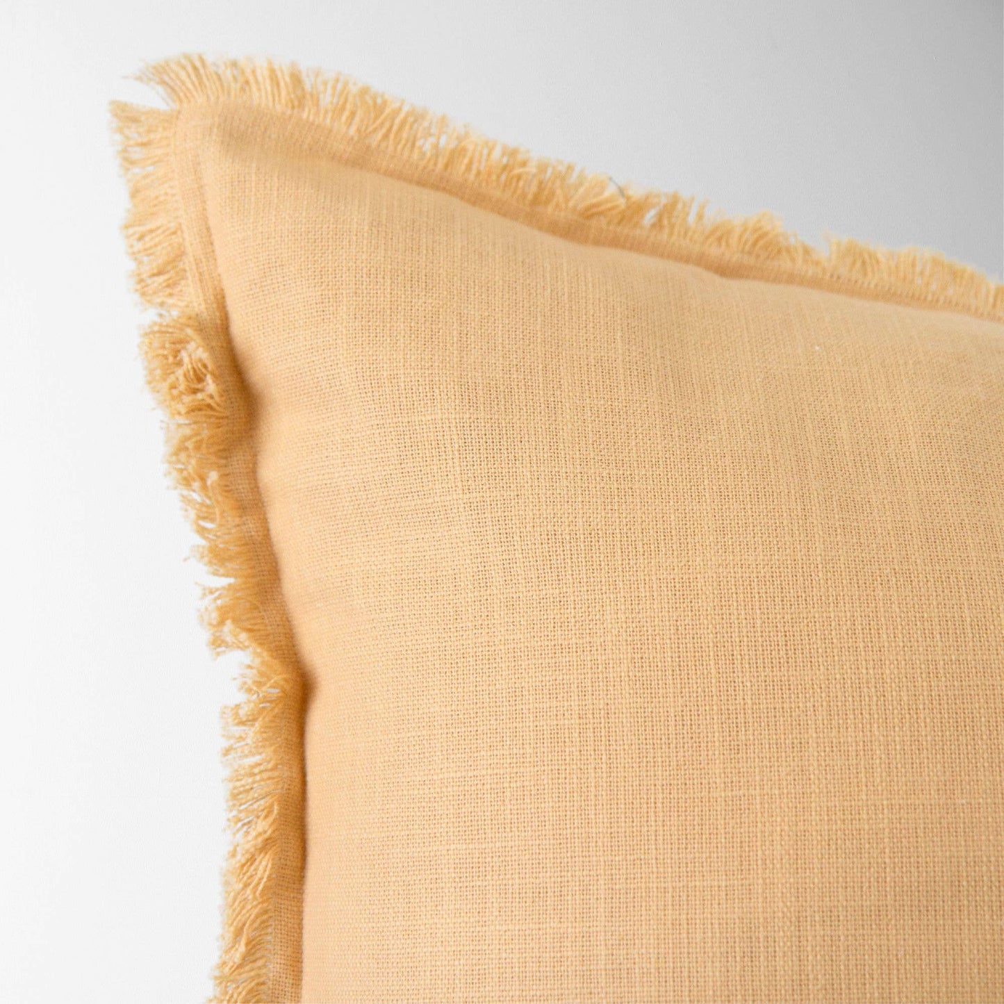 Emma Frayed Edge Pillow